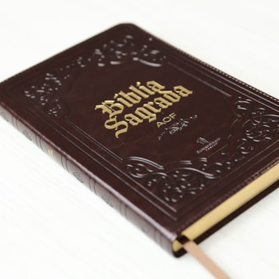 image_ea0d1aca-71d7-4c59-98c5-b7102c16b5f9