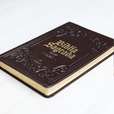 image_210c827a-26ab-4e9d-83dc-0d99c4234d22