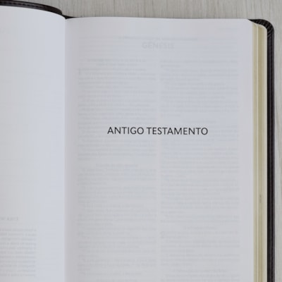 image_6d4ada15-3471-4201-a91c-9c819d7dd470