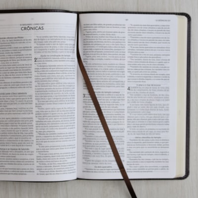 image_0216bf44-c356-4b89-a7c9-ed4b4d106332