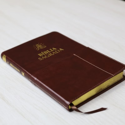 image_ebeb1278-6aac-4c7b-b6b7-3cdb9b27e432