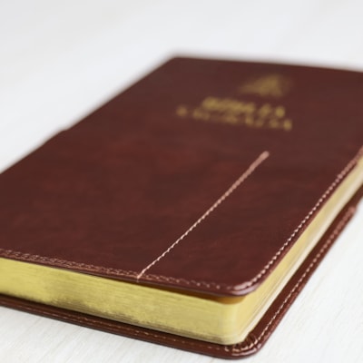 image_227b93f0-51f2-4f10-aac1-bfd131dd79a8