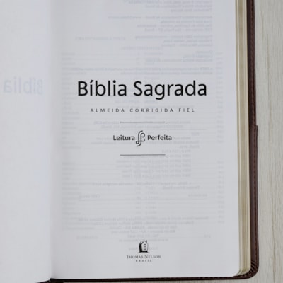 image_8da67c2e-da26-4ba9-b51d-d1d217d34b80