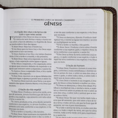 image_0a9e3055-e25a-444e-ae5a-bb239f75008e