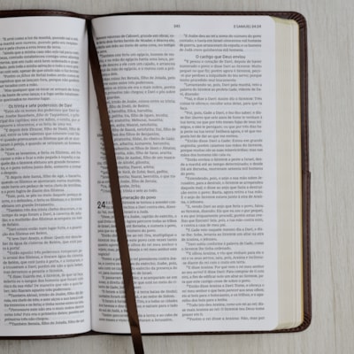 image_5855f078-189c-4206-9054-4c76dfa7813d