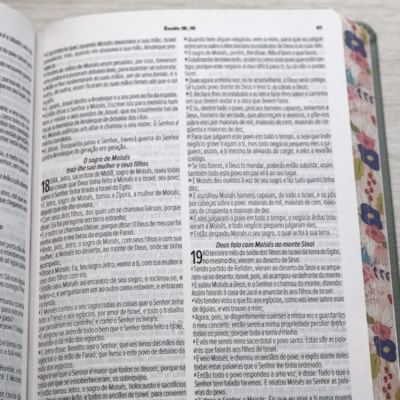 image_38a0b1a5-7c46-4ab8-96e8-9ba33dc5b6d1