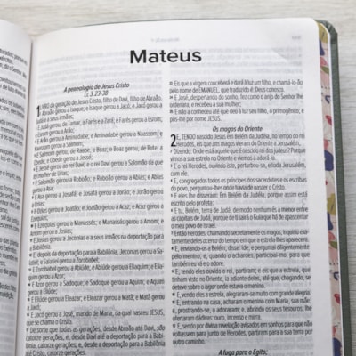 image_2c9aef80-9a1d-4c04-ae88-0ea728273f79