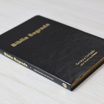 image_a7d5f042-69b9-4d7d-9217-677cb8e0a473