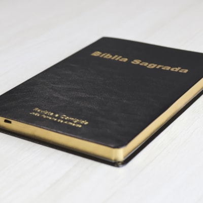 image_7b016223-accb-4d9d-bdf1-0d83b4b86666