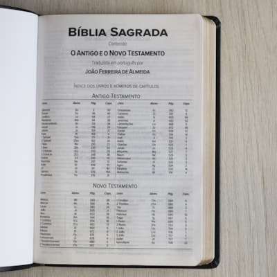 image_47c7a4ad-b4ea-4a4e-bcb0-53a3188f3509