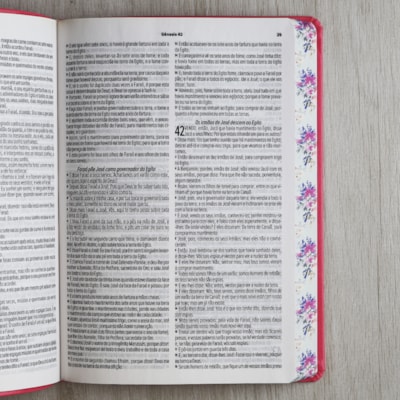 image_7aaa4814-4f6c-4d9c-bcff-886f6c5beb00