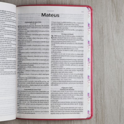 image_b02398bf-16ef-4c28-b2fd-54545158ca9a