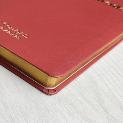 image_83fb3aed-d419-422e-9eea-250fe954dee8