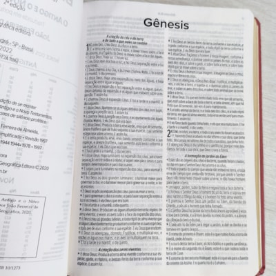 image_cb85d56f-ab2d-4815-a733-799bda3e9358