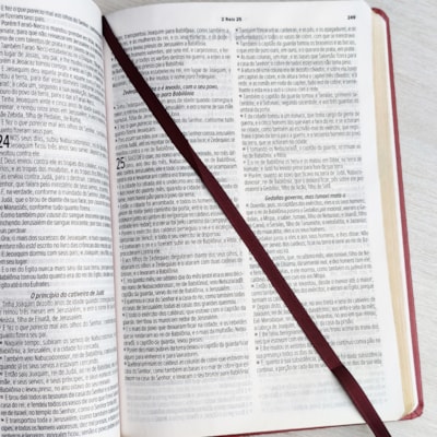 image_4051c871-8fe7-4d6e-a629-ba4b7d6ce2d9