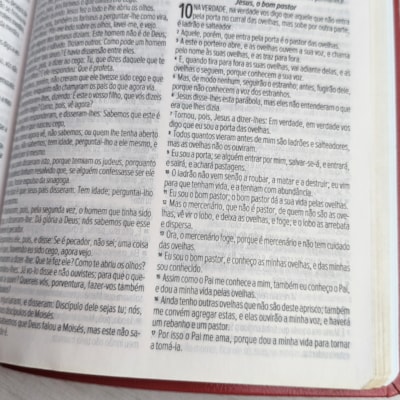 image_a2e97dd5-309b-4b7b-8754-dfb78203e3fd