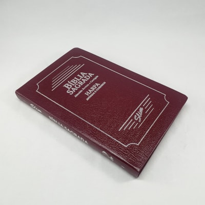 image_eefe21b5-734d-4e11-8f44-ddbb5c268c94