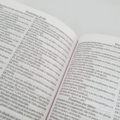 image_53f3d307-0ccf-4b66-aa08-5bf9d35ab5ac