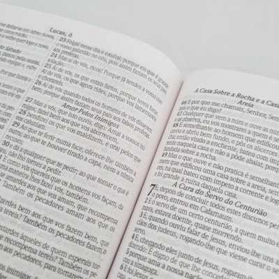 image_b7859404-19eb-46fb-a324-2a193a212961