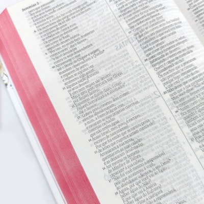 image_f6b4c077-1951-444b-bec9-34b2c7404f4c