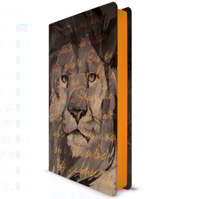 image_5204ab36-32c0-4b51-8eb1-fcd54c832772