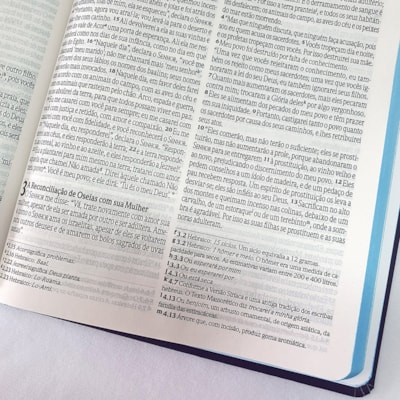 image_fd819f69-d63f-4cec-846d-ffb905f72a45