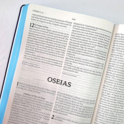 image_4d9b6c5b-f717-413d-b696-da28d6df6a68