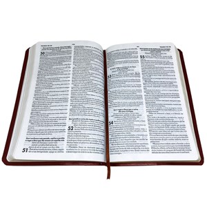 Bíblia Sagrada Slim com Harpa Cristã | ARC | Letra Normal | Marrom