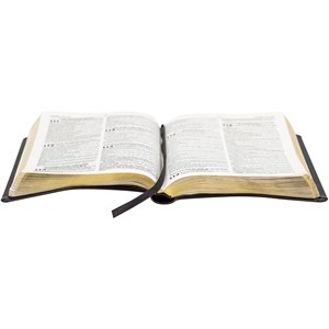 Bíblia Sagrada Slim com Harpa Cristã | ARC | Letra Normal | Preta
