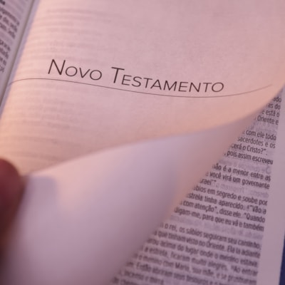 image_a2290c7c-ad2e-4ef5-a758-34371b91640b