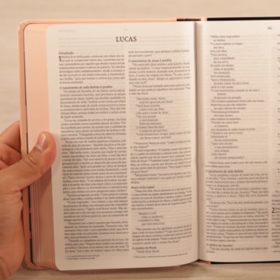 image_9dd9f5bd-2a5a-419e-a487-ace3e8bda28d