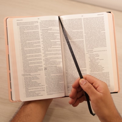 image_e1480ffa-e0d2-4880-ba71-ba0dd9915f1a