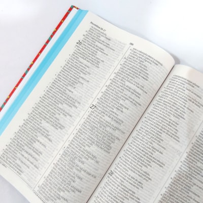 image_0bdc292d-5327-4f95-908a-4e934d2c97c6