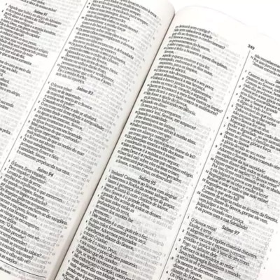 image_c8be5ea6-e213-4aa8-a73d-a9e62a44cc25