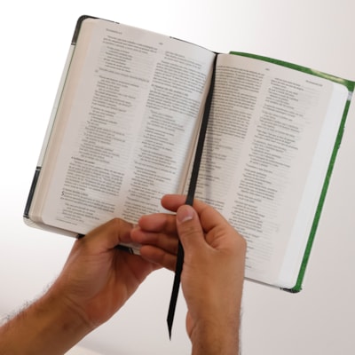 image_3108d882-147c-4d4d-8450-355bd2295341