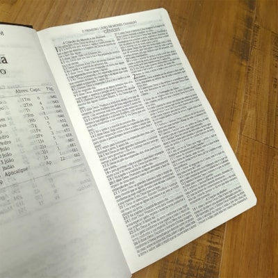 image_00acd17e-bcca-4361-b95f-c41f57264ed3