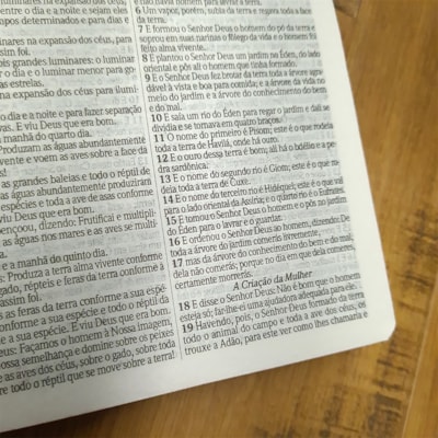 image_b7b0d5b7-876d-40b4-b047-29307677daa0