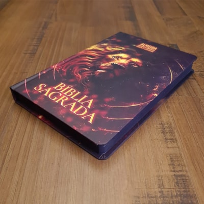 image_e726e202-fb54-472e-bb5c-f1f98905968b