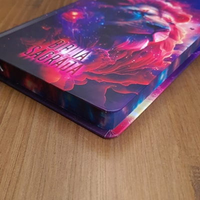 image_1b5a3240-e3f4-45dc-9353-b35142861ca0