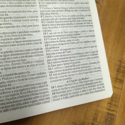 image_779c2132-622a-4028-b93f-c194b34614e3