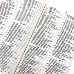 Bíblia Sagrada Slim Leão Aquarela | KJA | Letra Normal | Capa Dura