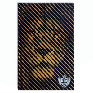 Bíblia Sagrada Slim Leão Oculto | KJA | Letra Normal | Capa Dura