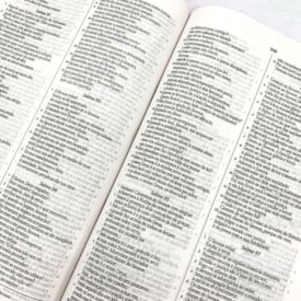 Segunda imagem do produto Bíblia Sagrada Slim Leão Oculto | NVI | Letra Normal | Capa Dura