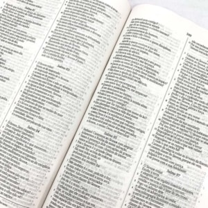 Segunda imagem do produto Bíblia Sagrada Slim Leão Oculto | NVI | Letra Normal | Capa Dura