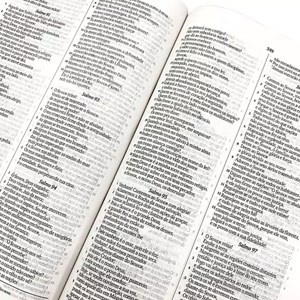 Bíblia Sagrada Slim Leão Pontilhismo Vermelho | KJA | Letra Normal | Capa Dura