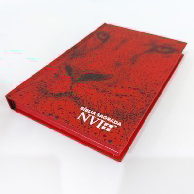 image_f2ae7f2d-deca-4691-abcd-ae95ea53ac5e