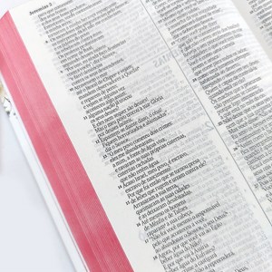 Bíblia Sagrada Slim Leão Pontilhismo Vermelho | NVI | Letra Normal | Capa Dura