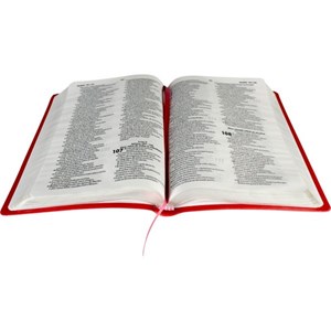 Bíblia Sagrada Slim | Letra Normal | NAA | Capa Pêssego