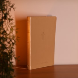 Segunda imagem do produto Bíblia Sagrada Slim | NAA | Bege