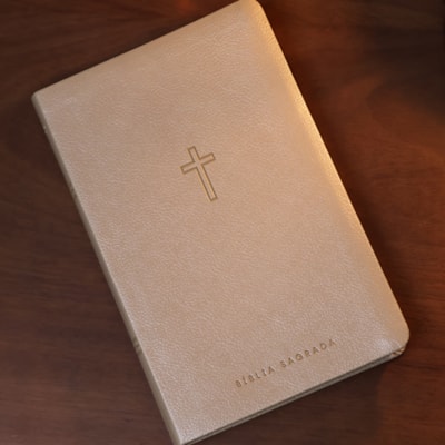 image_ff5caaa4-8784-4b59-9fff-e552cd5f0dc4